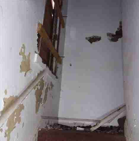 4200156_0015 (2).jpg